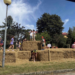 Farmářské dny pro 1. st