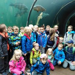 Projektový den I. stupně – Proměny v čase