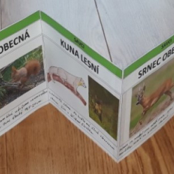 Krásné práce žáků IV. A