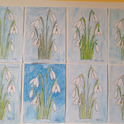 Práce dětí z 1. A