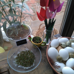 Volání jara v 1. B