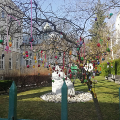 Na plotě, Velikonoční vrba