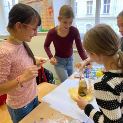 Projekt výroby sopky v 5. A