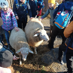 Den na statku pro 2. B