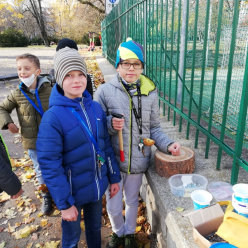 Pracovní činnosti ve 4. A