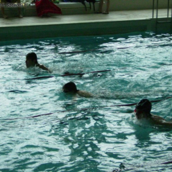 Plavání- O POHÁR CMG