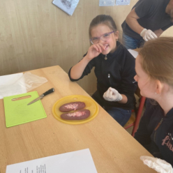 Týmová (párová) výuka: Pitva