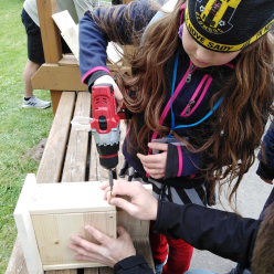 Šikovné ruce ve III.A