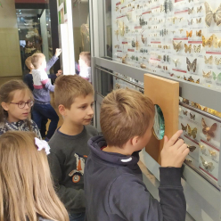 Expozice Příroda – od počátku bez konce