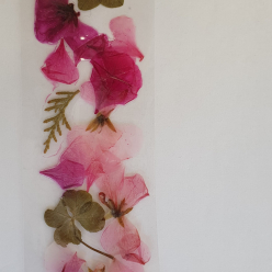 Práce dětí 3.A v PČ