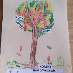 Říjen ve znamení stromů a plodů - 1.B