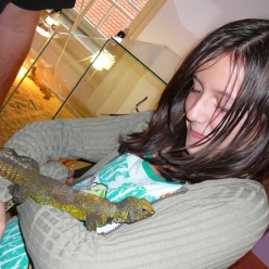 Výstava terarijních zvířat