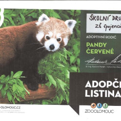 Školní družina je adoptivní rodič pandy červené
