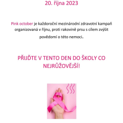 Den na růžovo