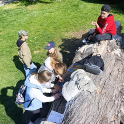 Projektový den na 2.stupni Den Země