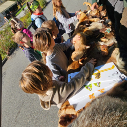 Podzim v parku - I.B a I.C