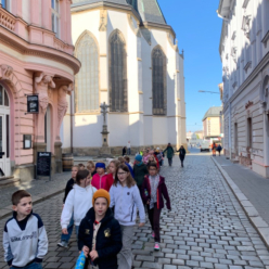 Rozkvetlé památky v Olomouci s ŠD
